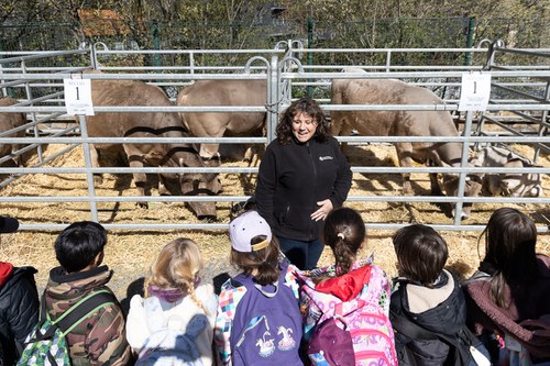 Cinc-cents escolars donen el tret de sortida a la Fira del bestiar