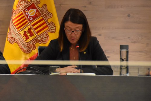 El Consell dona llum verd a la revisió excepcional d'un POUP, fruit d'un procés participatiu i informació pública